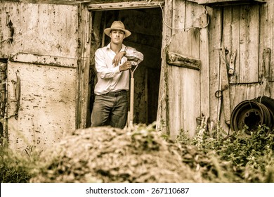 Farmer Shoveling The Horse Manure Out Of The Barn