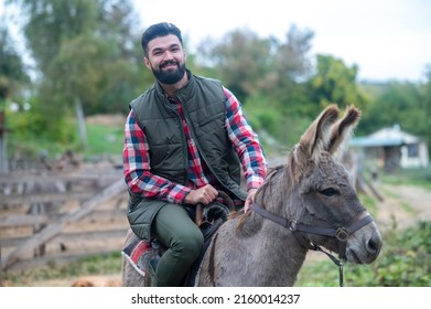 A Farmer Sitting On A Donkey On A Farm