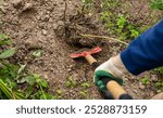 farmer spade soil, digging earth boots, agriculture work cultivation, farm work manual labor garden, vegetable patch digging farmer, outdoor work farming tools, cultivating land gardener