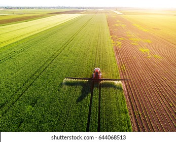 Farmer Spraying Green Wheat Field