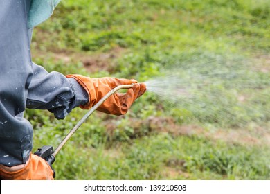 A Farmer Is Spraying Herbicide, A Toxic Chemical To Kill Weed On-farm That Has Many Weeds. Man Use Sprayer In The Garden.