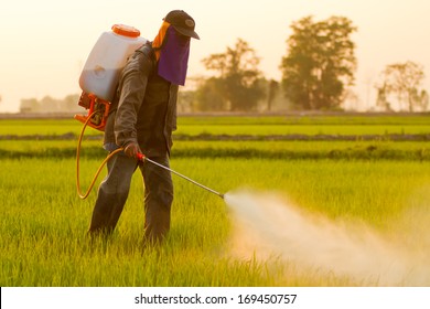  Farmer spraying pesticide