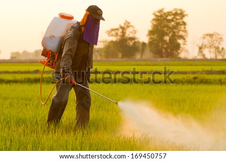 Farmer spraying pesticide