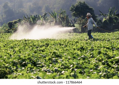 Farmer spraying pesticide on soy field