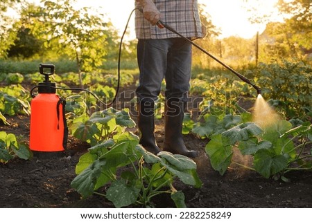 Farmer spraying pesticide sprayer garden farm vegetable garden spraying crop protection plant field rows. Agriculture fertilizer spraying insecticide. Herbicide. Fungicide. Backpack sprayer knapsack