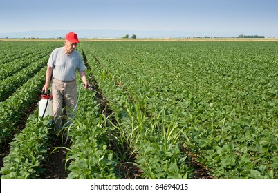 Farmer Spraying Soybean Field