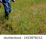 Farmer sprays glyphosate herbicide against couch grass using a knapsack sprayer 