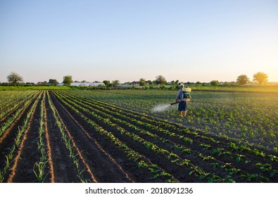 A Farmer Sprays Pesticide On The Plantation. Resistance Of The Crop To Pests. Chemical Industry In Farming Agriculture. Protection Of Cultivated Plants From Insects And Fungal Infections.