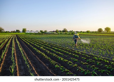 Farmer sprays a potato plantation with a sprayer. Effective crop protection of cultivated plants against insects and fungal. Chemical treatment. Mist sprayer, fungicide and pesticide. Working on field