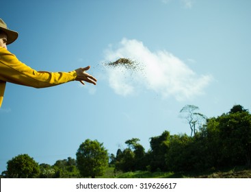 Farmer Spreading Oat Seeds On The Land