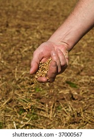 Farmer Sprinkling Grain From His Hand