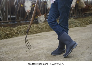 Farmer standing in barn, low section - Powered by Shutterstock