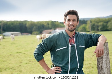 Farmer Standing In Front Of Cattle In Farm 