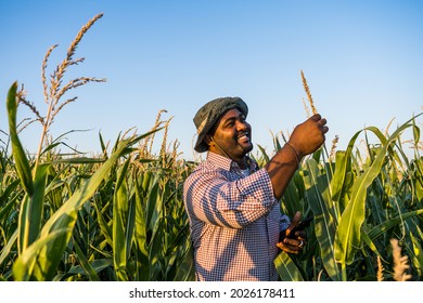 Farmer is standing in his growing corn field. He is satisfied because of good progress of plants.