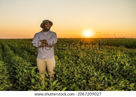 Farmer is standing in his growing soybean field. He is satisfied because of good progress of plants.