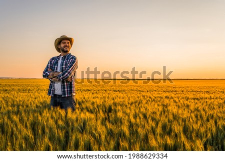 Farmer is standing in his growing wheat field. He is happy because of successful sowing.