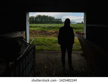 Farmer standing in stable. Unrecognizable person standing with hands in pockets in barn for farm animals on summer day