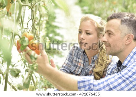 Similar – Senior woman and little girl picking apples from tree