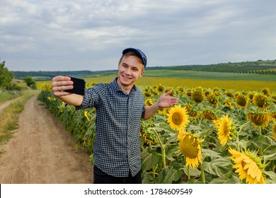 Farmer In The Sunflower Field, Recording Content For The Lifestyle Blog Vlog, Modern Farmer Using Social Media For Marketing