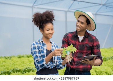 Farmer with tablet computer checking quality and freshness of organic vegetables hydroponic. - Shutterstock ID 2287987969