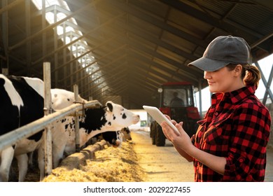 Farmer with tablet computer inspects cows at a dairy farm. Herd management concept. - Shutterstock ID 2029227455