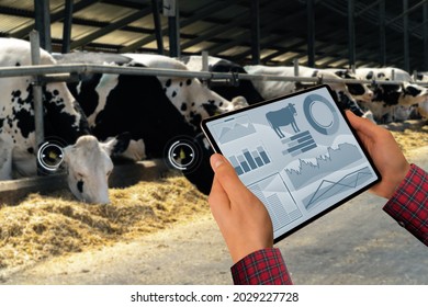 Farmer with tablet computer inspects cows at a dairy farm. Herd management concept. - Shutterstock ID 2029227728