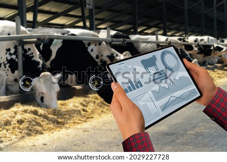 Farmer with tablet computer inspects cows at a dairy farm. Herd management concept.