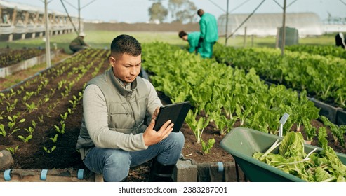 Farmer, tablet and greenhouse plants, farming and gardening for agriculture, green product and business. Manager, man or entrepreneur with agro harvest or vegetables and typing on digital technology - Powered by Shutterstock