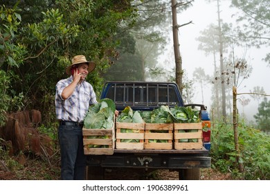 Farmer talking on the phone, in the forest, next to his cargo vehicle.
