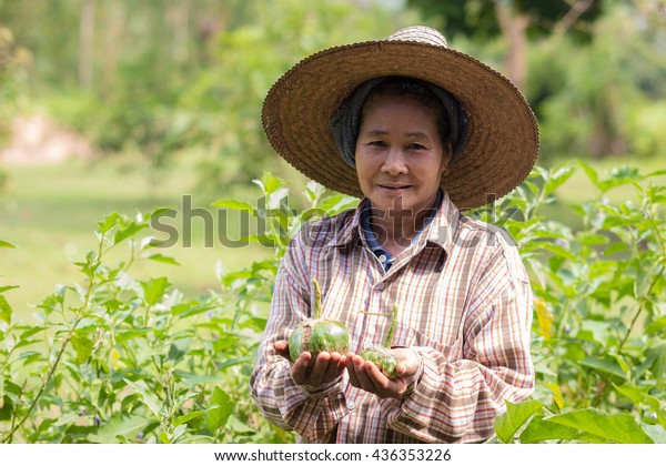 Farmer Thailand Stock Photo (Edit Now) 436353226