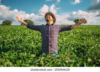 Farmer Thanking For The Harvest Or Rain. Soy Plantation. Brazilian Farm.