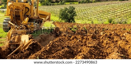 Farmer tills the soil with a heavy crawler tractor for planting a new vineyard. Agricultural industry, winery. 