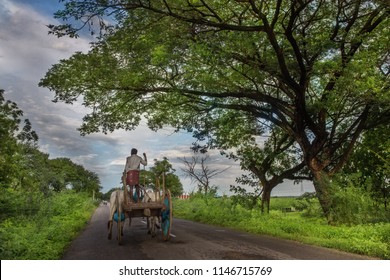 870 Indian Man Bull Cart Images, Stock Photos & Vectors 