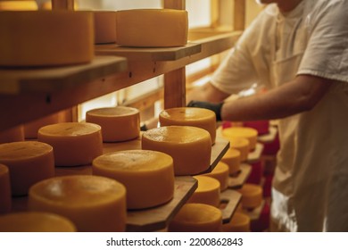 Cheese Storage Stock Photo, Picture and Royalty Free Image. Image 20177186.