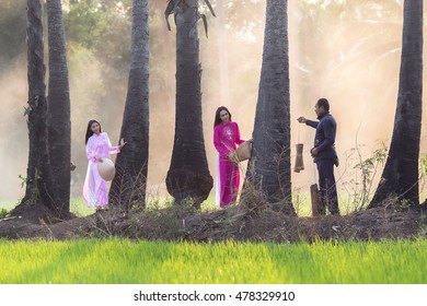 Farmer Two Vietnamese Girl Traditional Dress Stock Photo 478329910 ...