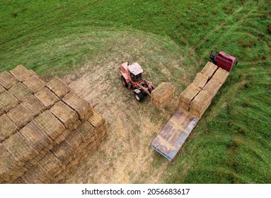 Farmer Unloading Round Bales Of Straw From Hay Trailer With A Front End Loader. Store Hay At Farm. Hay Rolls As Forage Feed For Beef And Dairy Cattle, Sheep And Horses. Making Hay In Autumn Season.