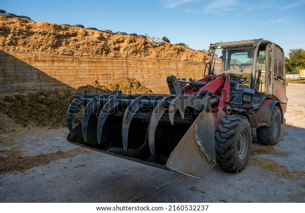 Farmer unloading round bales of straw with a front\
end loader