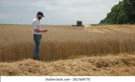 Un fermier utilise un ordinateur portable numérique alors qu'il est debout près d'un champ de blé, un moissonneur travaille en arrière-plan. Temps de récolte