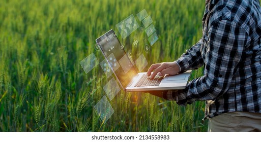 Farmer using digital laptop computer and modern interface icons with light shines sunset, Business agriculture technology concept. - Shutterstock ID 2134558983