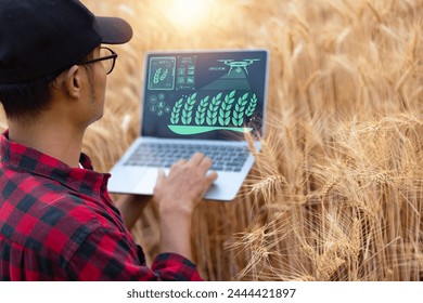 Farmer using digital laptop computer in field on sunny day, Business agriculture technology concept.
