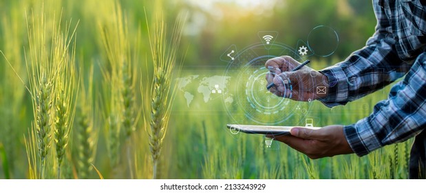 Farmer using digital tablet computer and modern interface icons with light shines sunset, Business agriculture technology concept. - Shutterstock ID 2133243929