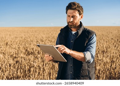 Farmer is using a digital tablet in a wheat field, implementing modern technology for smart agriculture and precision farming techniques to optimize crop growth and yield
