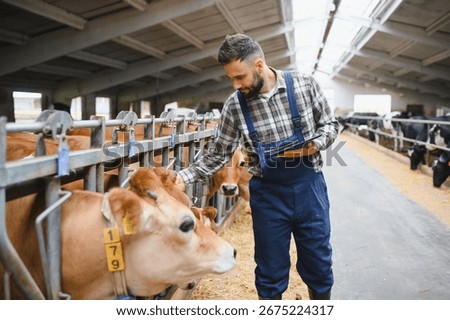 Farmer using a digital tablet while gently stroking a jersey cow in a stable on a modern dairy farm, blending technology with animal care