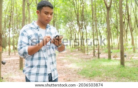farmer using mobile checking report of agriculture in Rubber Plantation .