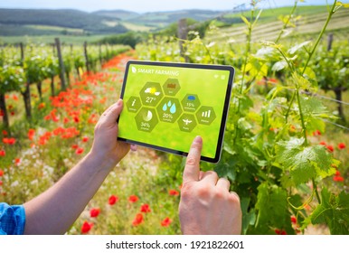 Farmer using smart farming technologies in a vineyard. - Powered by Shutterstock