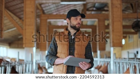 Farmer using tablet computer in modern dairy farm facility cowshed. Agribusiness owner checking data hold tabletPC in animal husbandry. Cowshed barn interior, stall, cowhouse.