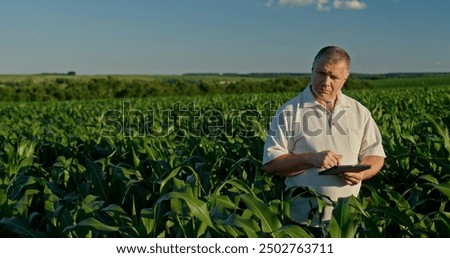 Farmer using a tablet, standing in the distance among green corn
