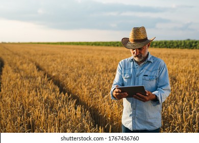 Farmer Using Tablet Standing In Wheat Field