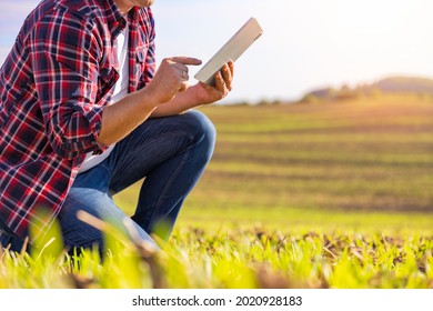 Farmer Using Tech Tablet In A Field
