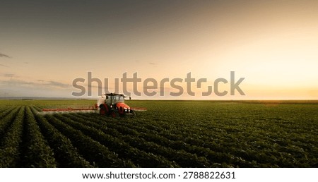 Farmer using tractor sprayer on soybean plantation during evening light. Agribusiness, precision agriculture and crop management concept with copy space.